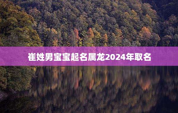 崔姓男宝宝起名属龙2024年取名