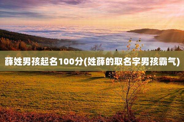 薛姓男孩起名100分(姓薛的取名字男孩霸气)