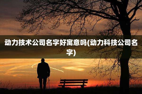 动力技术公司名字好寓意吗(动力科技公司名字)