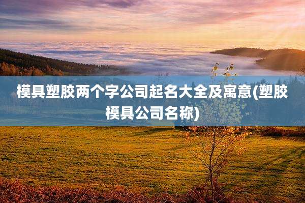 模具塑胶两个字公司起名大全及寓意(塑胶模具公司名称)