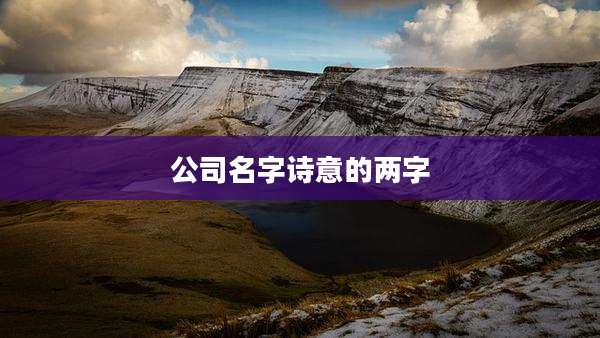 公司名字诗意的两字