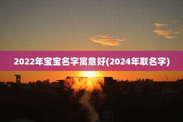 2022年宝宝名字寓意好(2024年取名字)