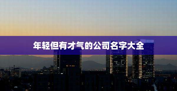 年轻但有才气的公司名字大全