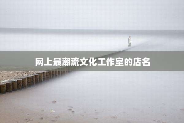 网上最潮流文化工作室的店名