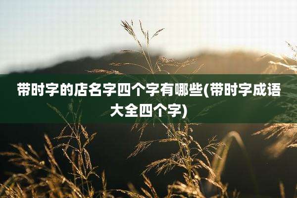 带时字的店名字四个字有哪些(带时字成语大全四个字)