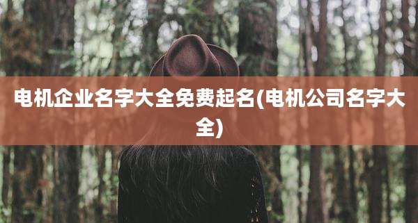 电机企业名字大全免费起名(电机公司名字大全)