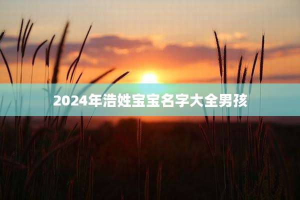 2024年浩姓宝宝名字大全男孩