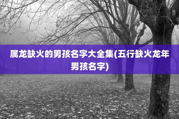 属龙缺火的男孩名字大全集(五行缺火龙年男孩名字)