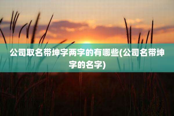 公司取名带坤字两字的有哪些(公司名带坤字的名字)