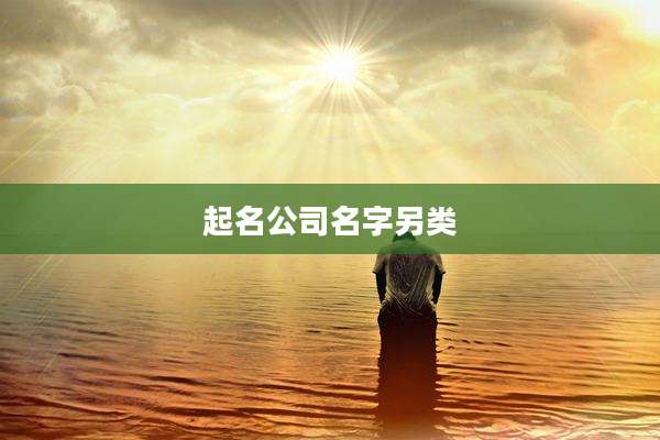 起名公司名字另类