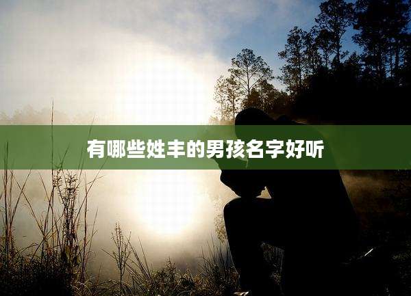 有哪些姓丰的男孩名字好听