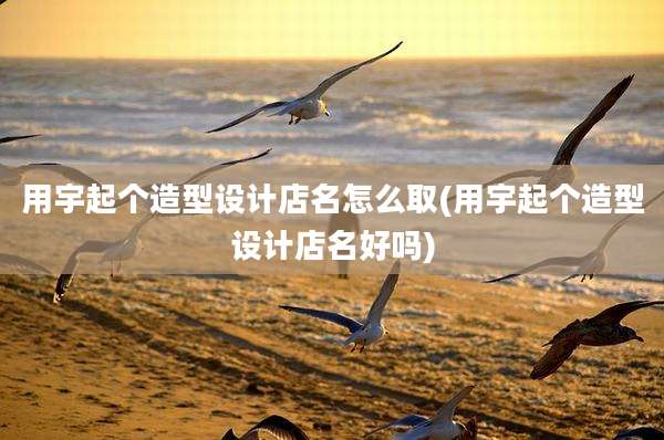 用宇起个造型设计店名怎么取(用宇起个造型设计店名好吗)