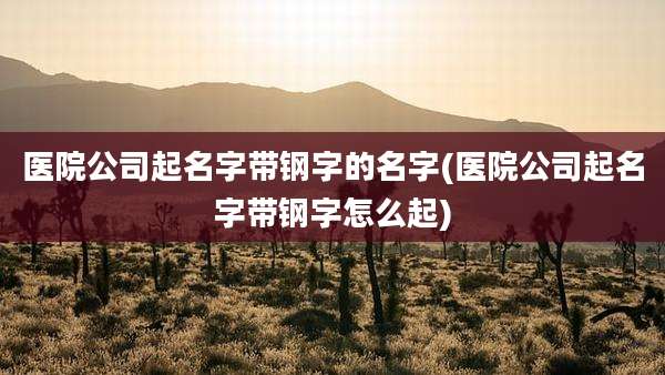 医院公司起名字带钢字的名字(医院公司起名字带钢字怎么起)