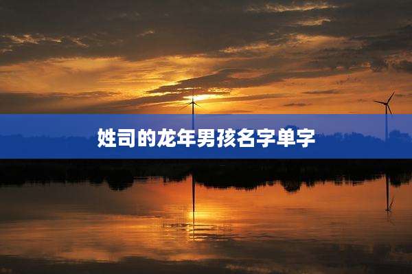 姓司的龙年男孩名字单字