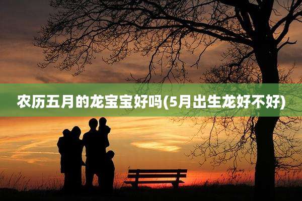 农历五月的龙宝宝好吗(5月出生龙好不好)