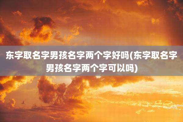 东字取名字男孩名字两个字好吗(东字取名字男孩名字两个字可以吗)