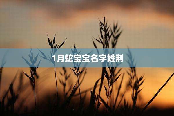 1月蛇宝宝名字姓荆