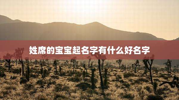姓席的宝宝起名字有什么好名字