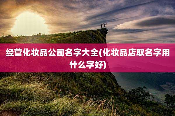 经营化妆品公司名字大全(化妆品店取名字用什么字好)