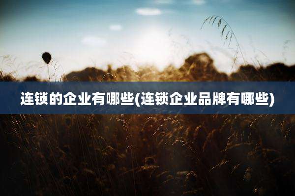 连锁的企业有哪些(连锁企业品牌有哪些)