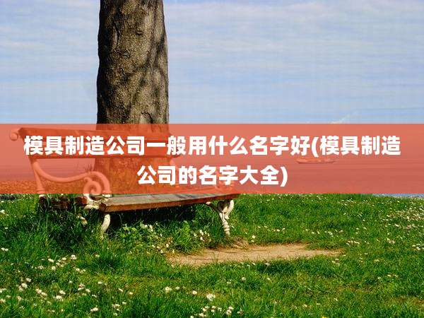 模具制造公司一般用什么名字好(模具制造公司的名字大全)