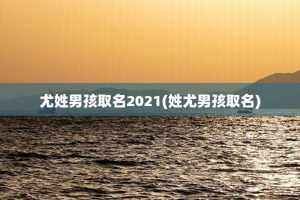 尤姓男孩取名2021(姓尤男孩取名)