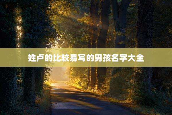 姓卢的比较易写的男孩名字大全