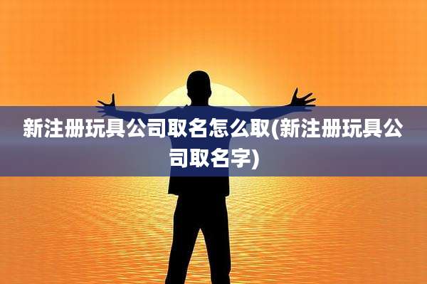 新注册玩具公司取名怎么取(新注册玩具公司取名字)