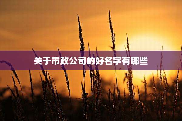 关于市政公司的好名字有哪些