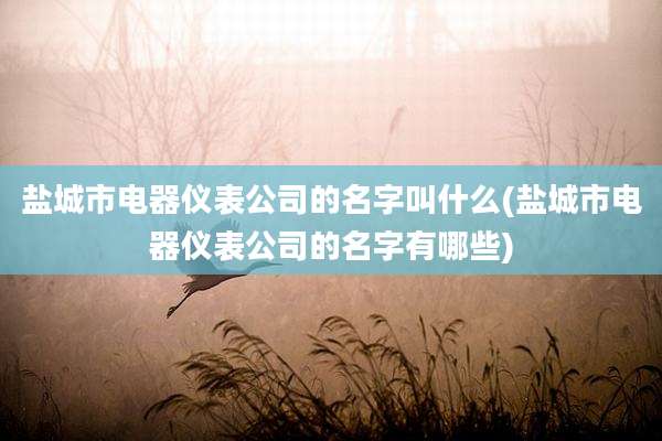 盐城市电器仪表公司的名字叫什么(盐城市电器仪表公司的名字有哪些)