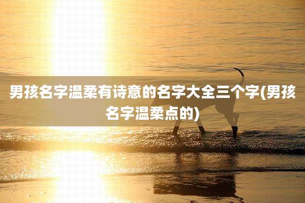 男孩名字温柔有诗意的名字大全三个字(男孩名字温柔点的)