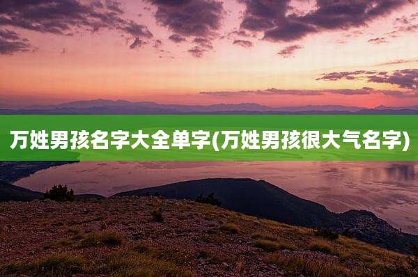 万姓男孩名字大全单字(万姓男孩很大气名字)