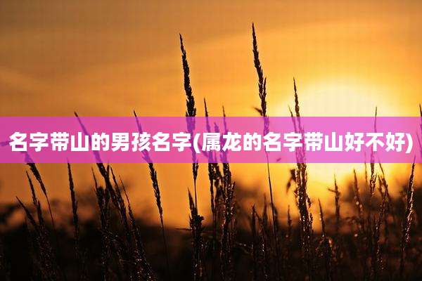名字带山的男孩名字(属龙的名字带山好不好)