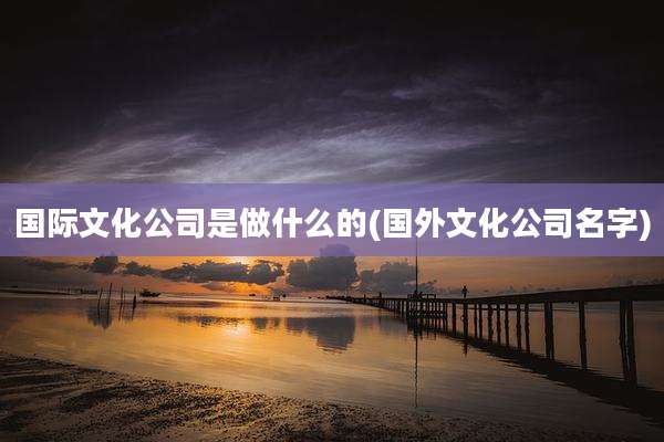 国际文化公司是做什么的(国外文化公司名字)