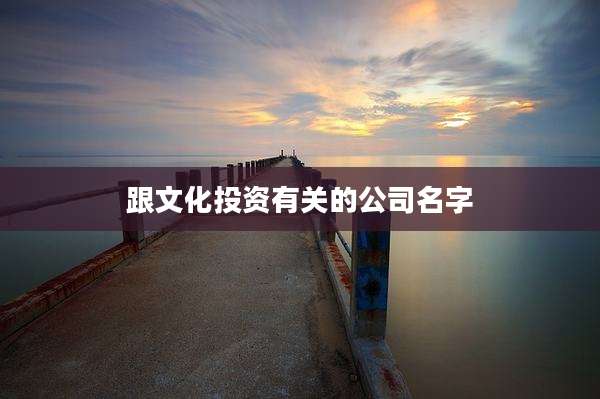 跟文化投资有关的公司名字