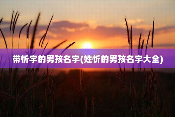 带忻字的男孩名字(姓忻的男孩名字大全)