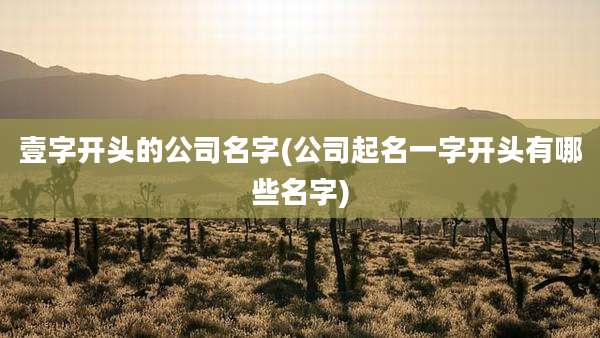 壹字开头的公司名字(公司起名一字开头有哪些名字)
