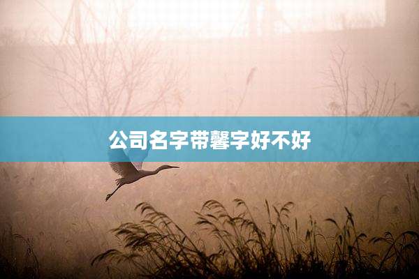 公司名字带馨字好不好