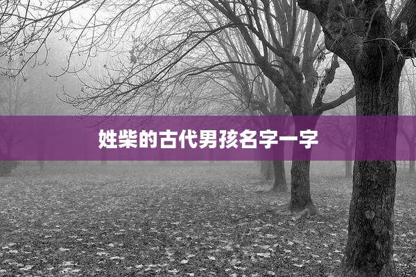 姓柴的古代男孩名字一字