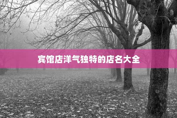 宾馆店洋气独特的店名大全