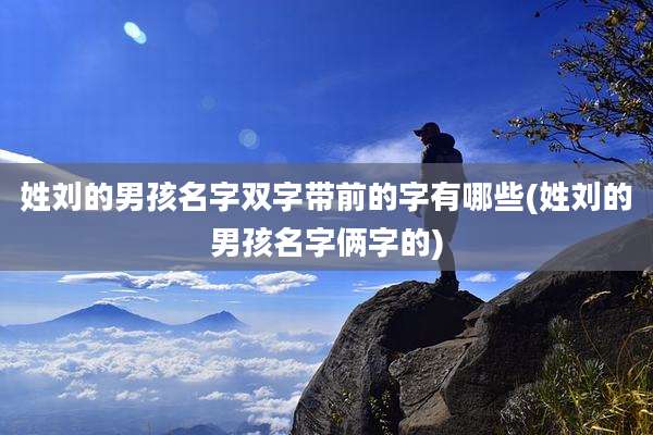 姓刘的男孩名字双字带前的字有哪些(姓刘的男孩名字俩字的)