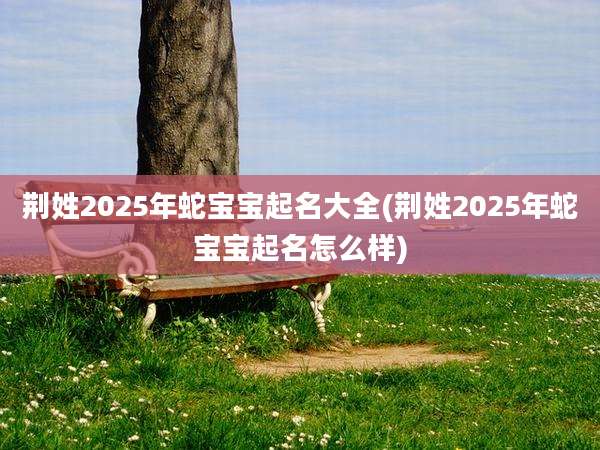 荆姓2025年蛇宝宝起名大全(荆姓2025年蛇宝宝起名怎么样)