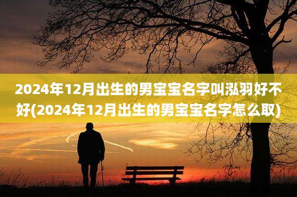 2024年12月出生的男宝宝名字叫泓羽好不好(2024年12月出生的男宝宝名字怎么取)