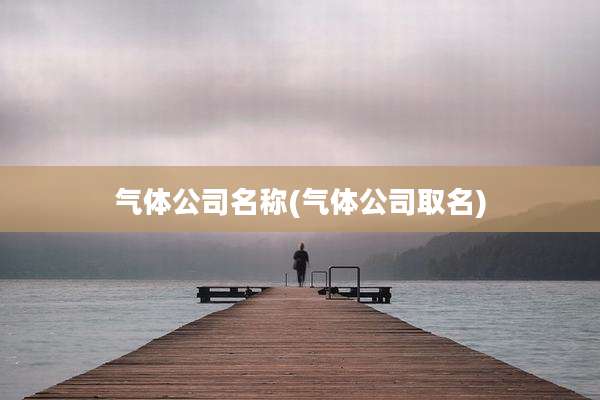 气体公司名称(气体公司取名)