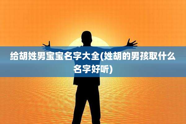 给胡姓男宝宝名字大全(姓胡的男孩取什么名字好听)