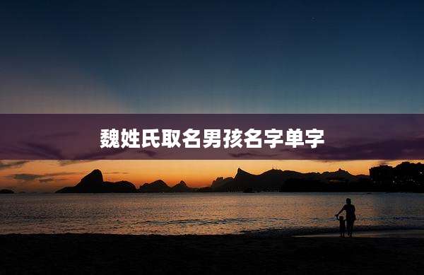 魏姓氏取名男孩名字单字