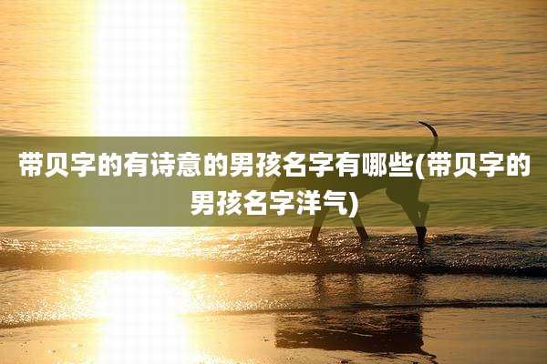 带贝字的有诗意的男孩名字有哪些(带贝字的男孩名字洋气)