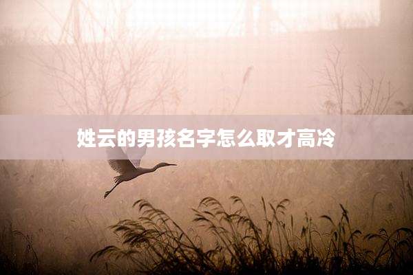 姓云的男孩名字怎么取才高冷