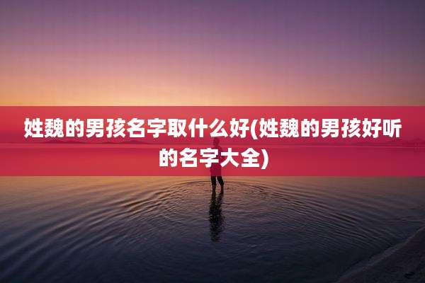 姓魏的男孩名字取什么好(姓魏的男孩好听的名字大全)