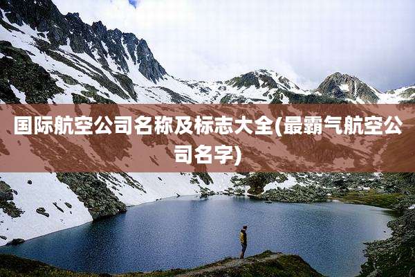 国际航空公司名称及标志大全(最霸气航空公司名字)